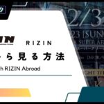 【無料】2023年 RIZINの試合を海外から見る方法！VPNで視聴する方法