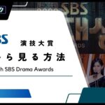 【無料】2023年「SBS演技大賞」の放送をリアタイで視聴する方法【SBS연기대상】